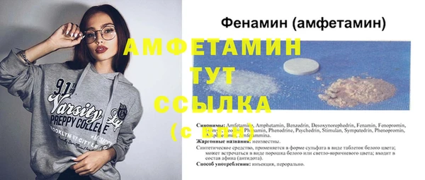 шишки Михайловск