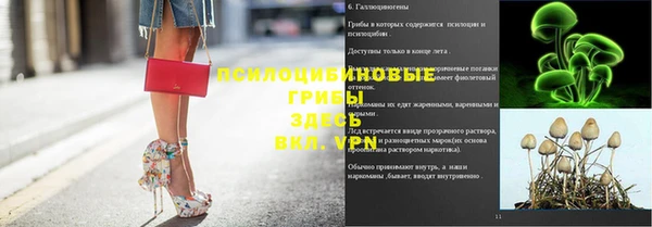 шишки Михайловск