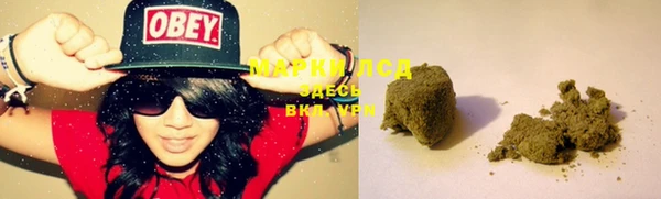 шишки Михайловск