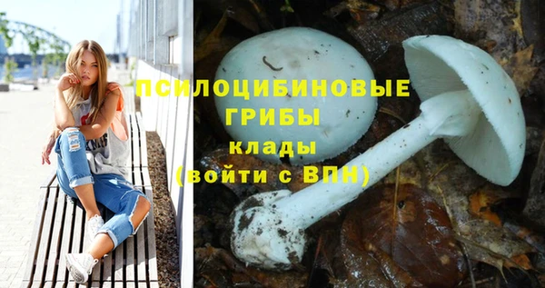 прущий лед Наволоки