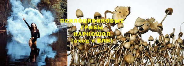 ешки Михайловка