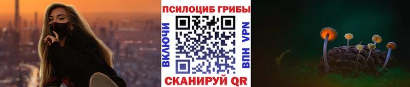 Псилоцибиновые грибы MAGIC MUSHROOMS  мега зеркало  darknet Telegram  Оханск 